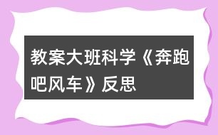 教案大班科學《奔跑吧風車》反思