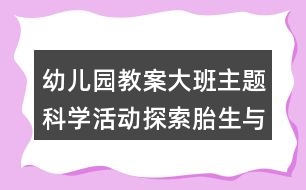 幼兒園教案大班主題科學(xué)活動探索胎生與卵生