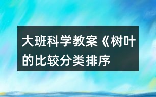 大班科學教案《樹葉的比較、分類、排序》反思