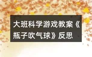 大班科學游戲教案《瓶子吹氣球》反思