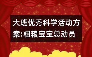 大班優(yōu)秀科學(xué)活動方案:粗糧寶寶總動員