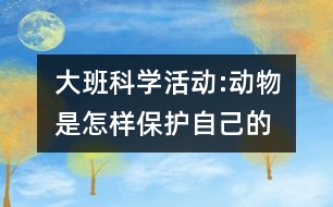 大班科學活動:動物是怎樣保護自己的