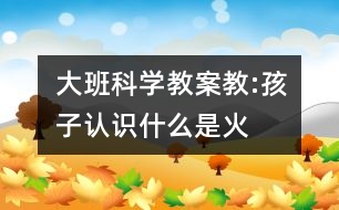 大班科學(xué)教案教:孩子認(rèn)識(shí)什么是火