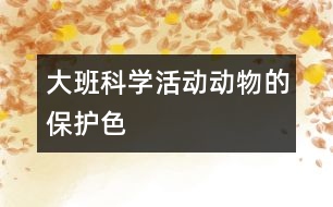 大班科學(xué)活動：動物的保護(hù)色