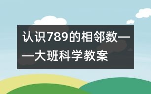 認(rèn)識7、8、9的相鄰數(shù)――大班科學(xué)教案