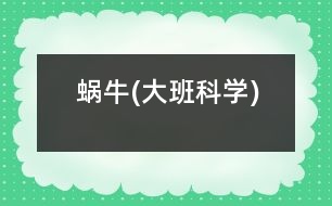 蝸牛(大班科學(xué))