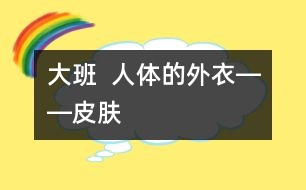 大班  人體的外衣――皮膚