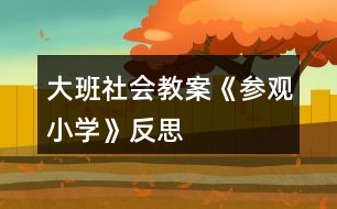 大班社會教案《參觀小學》反思