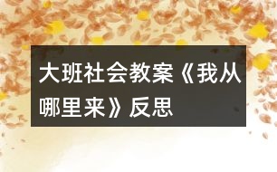 大班社會教案《我從哪里來》反思