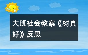 大班社會教案《樹真好》反思