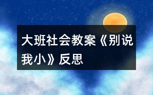 大班社會教案《別說我小》反思