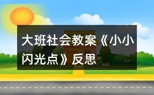 大班社會(huì)教案《小小“閃光點(diǎn)”》反思