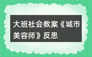 大班社會(huì)教案《城市美容師》反思