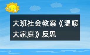 大班社會(huì)教案《溫暖大家庭》反思