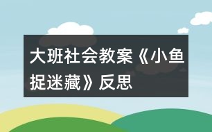 大班社會教案《小魚捉迷藏》反思