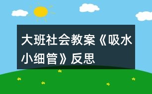 大班社會教案《吸水小細(xì)管》反思