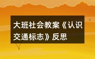 大班社會教案《認識交通標志》反思