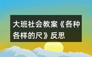 大班社會教案《各種各樣的尺》反思