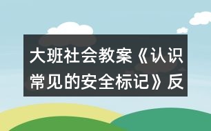 大班社會教案《認(rèn)識常見的安全標(biāo)記》反思