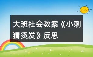 大班社會(huì)教案《小刺猬燙發(fā)》反思