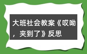 大班社會(huì)教案《哎呦，夾到了》反思