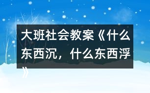 大班社會教案《什么東西沉，什么東西浮》反思