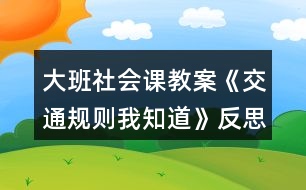 大班社會課教案《交通規(guī)則我知道》反思