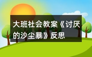 大班社會教案《討厭的沙塵暴》反思