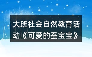 大班社會自然教育活動《可愛的蠶寶寶》教學設計