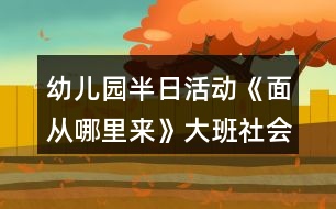 幼兒園半日活動《面從哪里來》大班社會教案反思