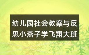 幼兒園社會(huì)教案與反思小燕子學(xué)飛翔（大班）