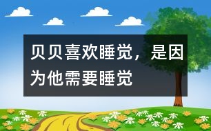 貝貝喜歡睡覺，是因為他需要睡覺