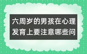 六周歲的男孩在心理發(fā)育上要注意哪些問題――陸為之回