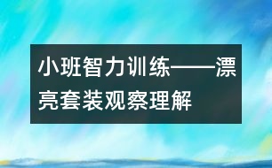 小班智力訓(xùn)練――漂亮套裝（觀察、理解、判斷、語言）