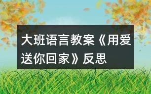 大班語言教案《用愛送你回家》反思