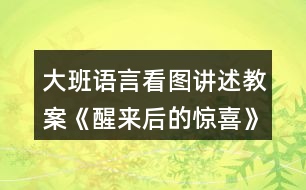 大班語(yǔ)言看圖講述教案《醒來后的驚喜》反思