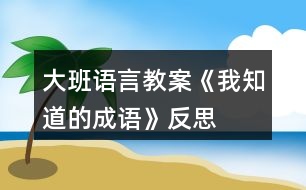 大班語言教案《我知道的成語》反思