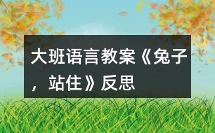 大班語言教案《兔子，站住》反思