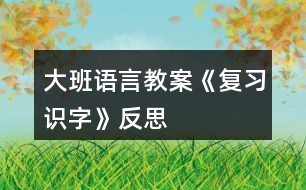 大班語言教案《復習識字》反思