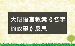 大班語(yǔ)言教案《名字的故事》反思