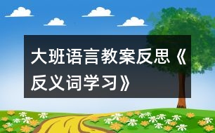 大班語(yǔ)言教案反思《反義詞學(xué)習(xí)》