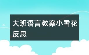 大班語言教案小雪花反思