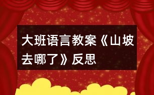 大班語言教案《山坡去哪了》反思