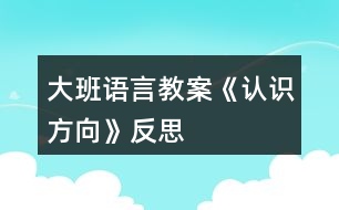 大班語言教案《認識方向》反思