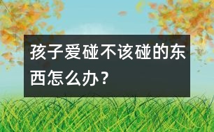 孩子愛碰不該碰的東西怎么辦？