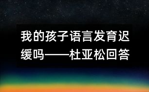 我的孩子語(yǔ)言發(fā)育遲緩嗎――杜亞松回答