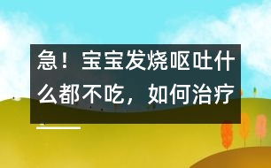 急！寶寶發(fā)燒嘔吐什么都不吃，如何治療――康宏回答