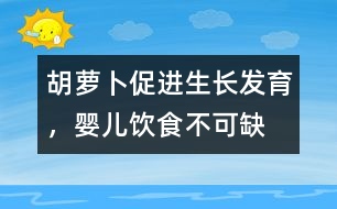 胡蘿卜促進(jìn)生長(zhǎng)發(fā)育，嬰兒飲食不可缺