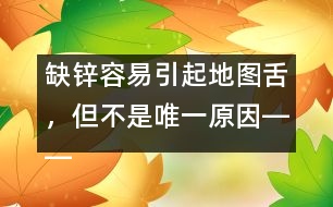 缺鋅容易引起地圖舌，但不是唯一原因――洪昭毅回答