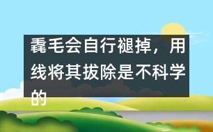 毳毛會自行褪掉，用線將其拔除是不科學的